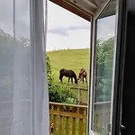 公寓 Familien Mit Spielzimmer Balkon Nahe Freizeitpark Plohn Dz Eigenes Bad Kueche Gratis Kaffee Fruehstueckskorb Auf Anfrage