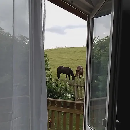 Familien Spielzimmer Balkon Nahe Freizeitpark Plohn Dz Eig Bad Kueche Gratis Kaffee Sitzecke Gemeinschaftspool Im Garten Fruehstueckskorb Auf Anfrage דירה *