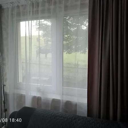 Familien Spielzimmer Balkon Nahe Freizeitpark Plohn Dz Eig Bad Kueche Gratis Kaffee Sitzecke Gemeinschaftspool Im Garten Fruehstueckskorb Auf Anfrage אוורבך