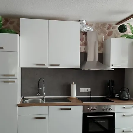 Naehe Plohn Park - Mit Spielzimmer Und Balkon Sowie Doppelzimmer Mit Eigenem Bad Auerbach (Vogtland)