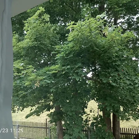 Naehe Plohn Park - Mit Spielzimmer Und Balkon Sowie Doppelzimmer Mit Eigenem Bad Lägenhet Auerbach (Vogtland)