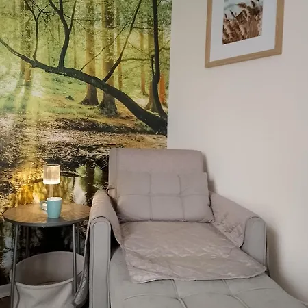 Lägenhet Naehe Plohn Park - Mit Spielzimmer Und Balkon Sowie Doppelzimmer Mit Eigenem Bad