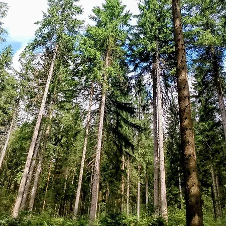 Naehe Plohn Park - Mit Spielzimmer Und Balkon Sowie Doppelzimmer Mit Eigenem Bad * Auerbach (Vogtland)