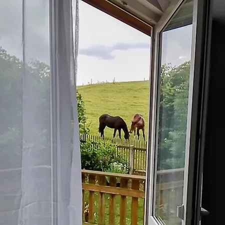 Apartament Naehe Plohn Park - Mit Spielzimmer Und Balkon Sowie Doppelzimmer Mit Eigenem Bad