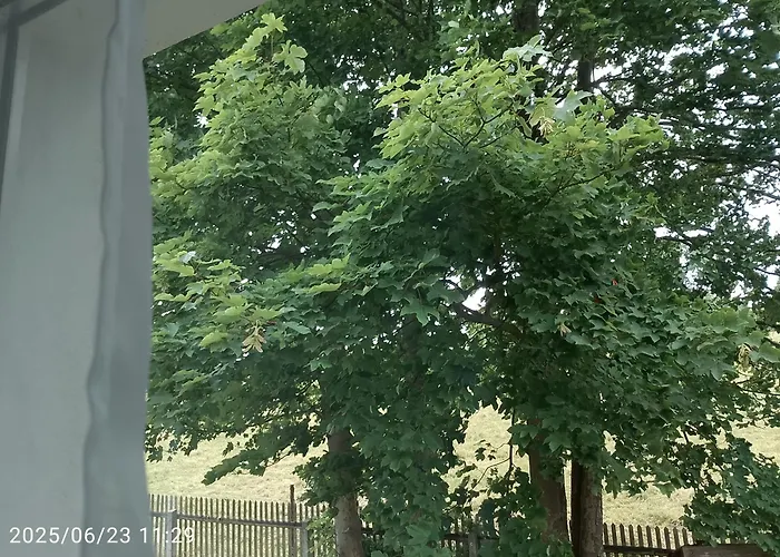 Familien Mit Spielzimmer Balkon Nahe Freizeitpark Plohn Dz Eigenes Bad Kueche Gratis Kaffee Fruehstueckskorb Auf Anfrage Apartment Auerbach (Vogtland)