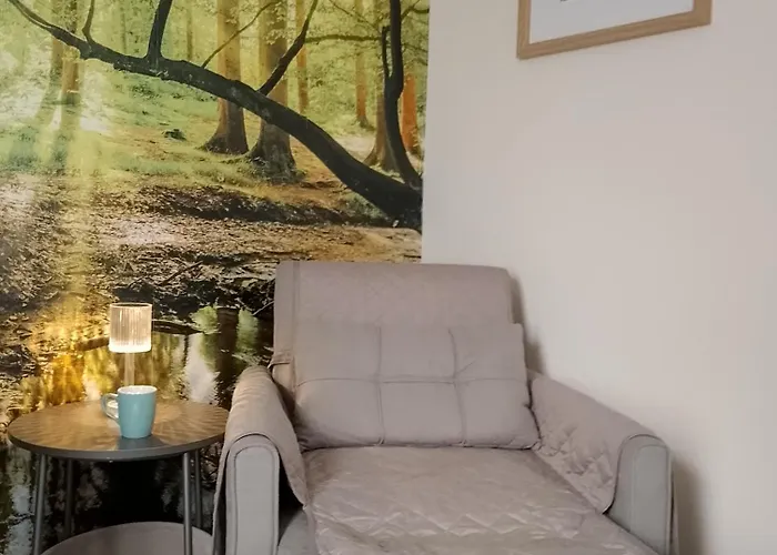 Apartamento Familien Mit Spielzimmer Balkon Nahe Freizeitpark Plohn Dz Eigenes Bad Kueche Gratis Kaffee Fruehstueckskorb Auf Anfrage