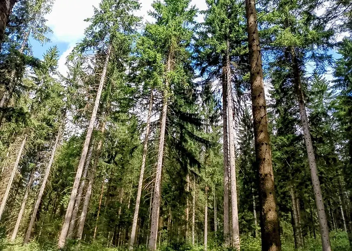 Familien Mit Spielzimmer Balkon Nahe Freizeitpark Plohn Dz Eigenes Bad Kueche Gratis Kaffee Fruehstueckskorb Auf Anfrage * Auerbach (Vogtland)