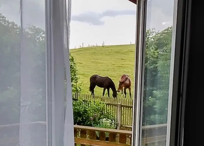 Apartamento Familien Mit Spielzimmer Balkon Nahe Freizeitpark Plohn Dz Eigenes Bad Kueche Gratis Kaffee Fruehstueckskorb Auf Anfrage